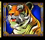 Tiger symbol payout icon
